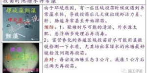 如何成功开展观赏虾副业？新手入门必问的几个关键问题