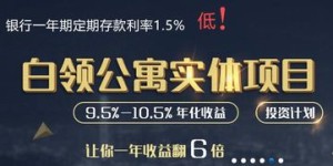 什么样的投资项目才能真正带来盈利机会？