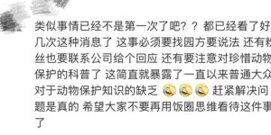 羌胡究竟何意？网络用语中的羌胡又指什么？