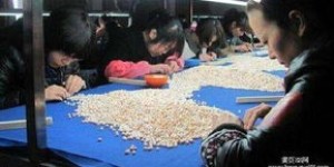 长春哪里有手工活兼职可以带回家做？