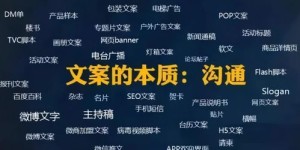 倒卖白菜真的能赚钱吗？市场行情与盈利秘诀解析