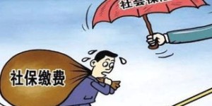 如何正确填写缴费人员类别及社保缴费人员类别？