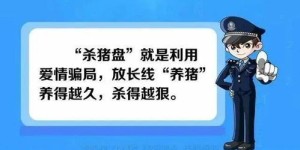如何识别并避免杀猪盘副业套利陷阱？