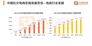 哪个社交电商平台最具盈利潜力？如何选择赚钱平台？