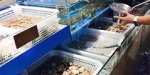 北京的海鲜自助采购平台哪家强？如何选择最佳的海鲜自助采购服务？