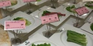 南湖区有哪些自助餐团购平台，你知道吗？