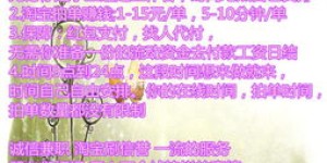 哪种方式能更快赚钱？对比分析帮你找到最佳途径！