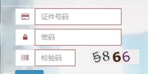 华师自主招生平台官网是什么？如何使用它进行自助报名和查询？
