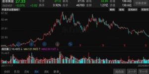 洽洽食品股票表现如何？近期走势引发关注！
