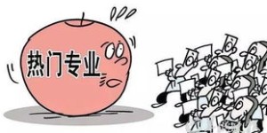 哲学专业学生如何选择合适的副业方向？