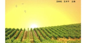 未来农民致富路在何方？探索新时代农业创富新途径