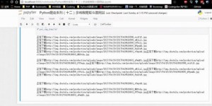 Python兼职是否可行？探索副业新途径的可行性分析