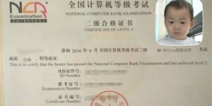 二级证书兼职费用是多少？市场行情大揭秘！