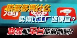 怀孕期间如何开启翻译副业，实现经济独立？