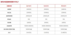 洛伊之恋加盟费是多少？探寻其费用结构与投资回报分析