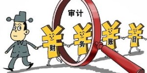 审计人员能否合法从事副业？相关规定与风险解析