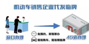 哪些平台是专业的煤炉自助代购服务提供商？