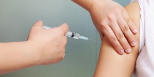 种草莓真的能赚钱吗？投资回报率如何分析？
