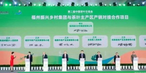 哪些平台是茶市自助团购的首选？探索高性价比的茶叶购买新方式