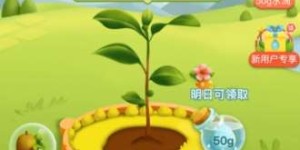 为什么多多果园助力功能突然消失不见？