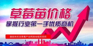 南宁餐饮行业现正招募兼职人员吗？机会不容错过！