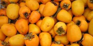 橙豆价格几何？一斤橙豆究竟要花多少钱？
