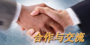 哪些公司副业经营出色，成功秘诀何在？