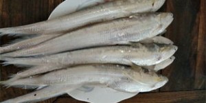 小红虾干每斤售价多少？带你了解市场行情！
