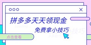 115人助力拼多多，究竟是如何快速成功的？