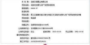 如何获取洛阳丹尼斯的联系电话和官方网站信息？