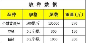 17万播放量背后，究竟是如何实现盈利的？