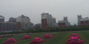 邢台爱凡杰学校教学质量如何？家长学生真实评价揭秘