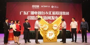 汇桔联瑞集团究竟从事哪些业务领域？