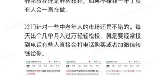 婧初副业真的能赚钱吗？揭开其盈利模式的秘密