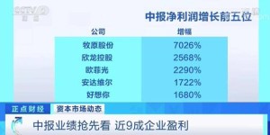 南北方赚钱方法有何不同？视频解析挣钱套路差异