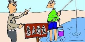 副业钓鱼卖鱼，如何实现盈利与兴趣双丰收？