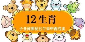 哪个属相更容易在职场中赚取高薪？