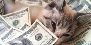 我的赚钱猫是如何实现财富增长的奇迹？