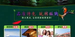哪些平台是专业的自助饮茶团购选择？探索最佳团购新体验！
