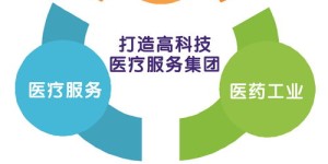如何区分主业与副业，确保两者平衡发展的关键策略？