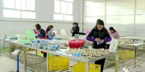 小茶馆如何巧妙拓展副业，实现盈利翻倍？