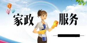 哪些平台提供自助家政服务？探索优质选择，找到最适合你的家务解决方案