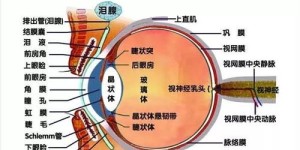 海得视治近视效果如何？其近视矫正方法是否值得信赖？