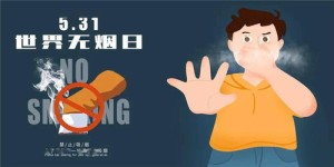 连山实验高中的教学质量与校园环境究竟如何？