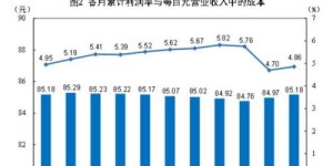 他们今年采取了哪些策略来实现盈利增长？