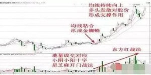 哪些炒股技巧能助你稳步盈利？探索高效赚钱法门