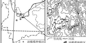 桐梓林欧城品质如何？其地理位置有何优势？