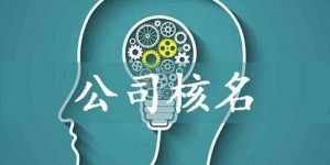 哪些在线平台支持自助注册公司？如何选择最合适的注册平台？