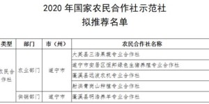 农民合作社真的能盈利吗？经济效益如何评估？