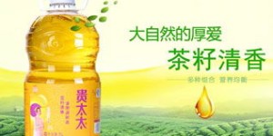 贵太太茶油品质如何，价格行情是怎样的？